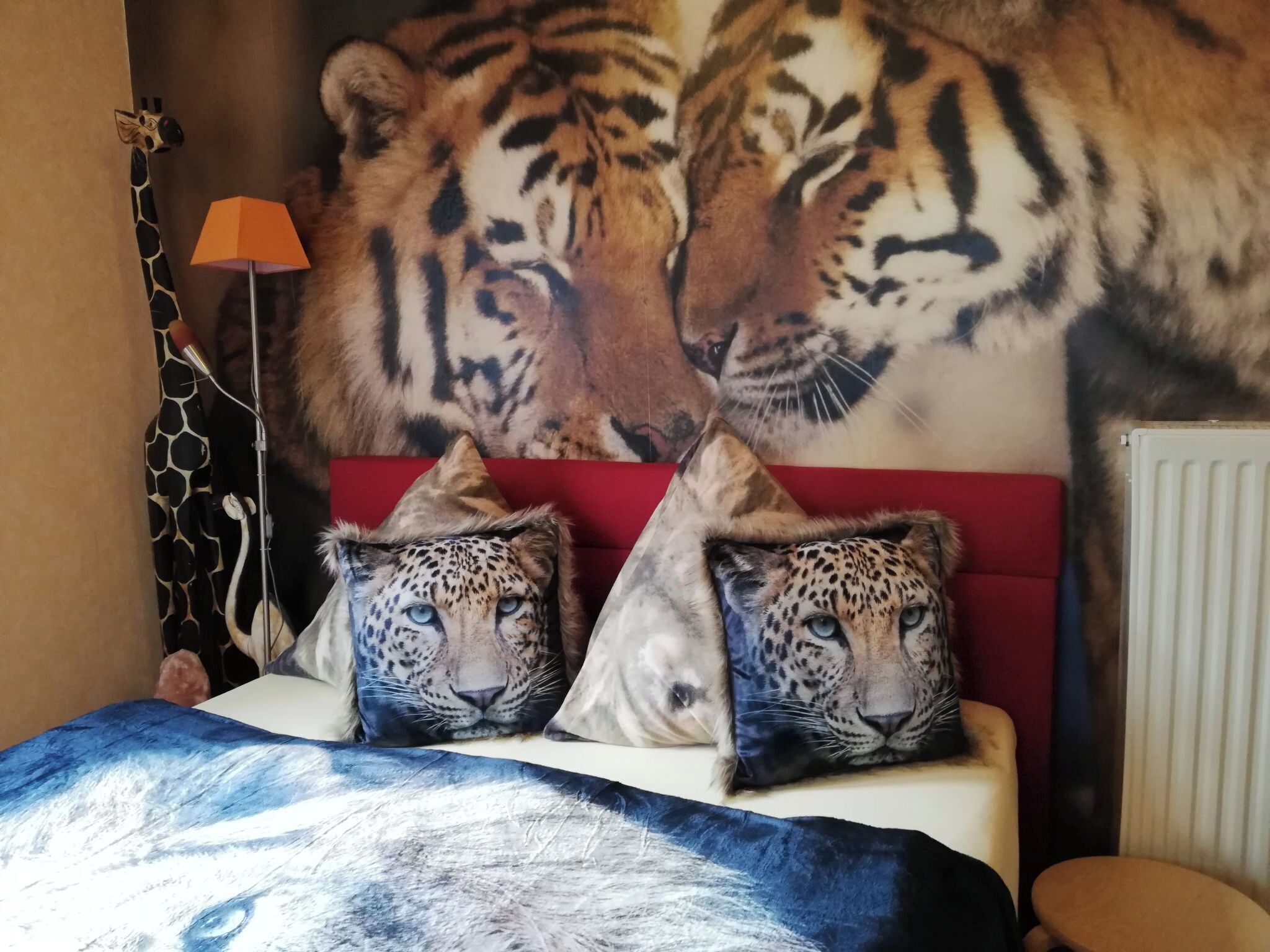 1 bedroom, Internet