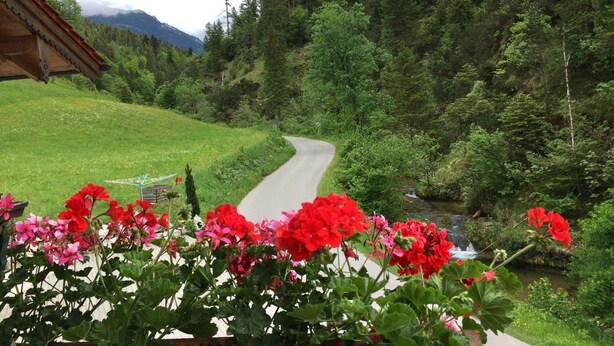 Eine malerische Straße schlängelt sich durch eine üppige grüne Landschaft mit einem kleinen Bach.
