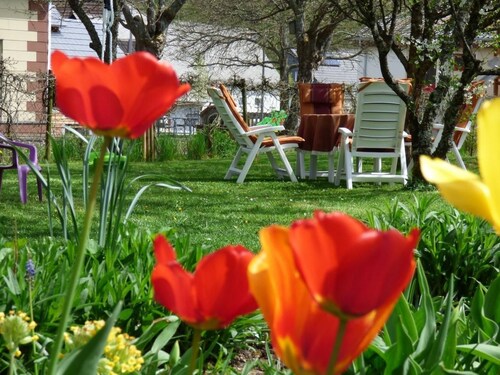 in Siesbach by Interhome
