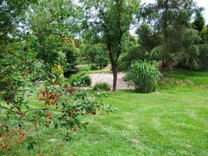 Property grounds - Edelstein by Interhome (Mörschied)