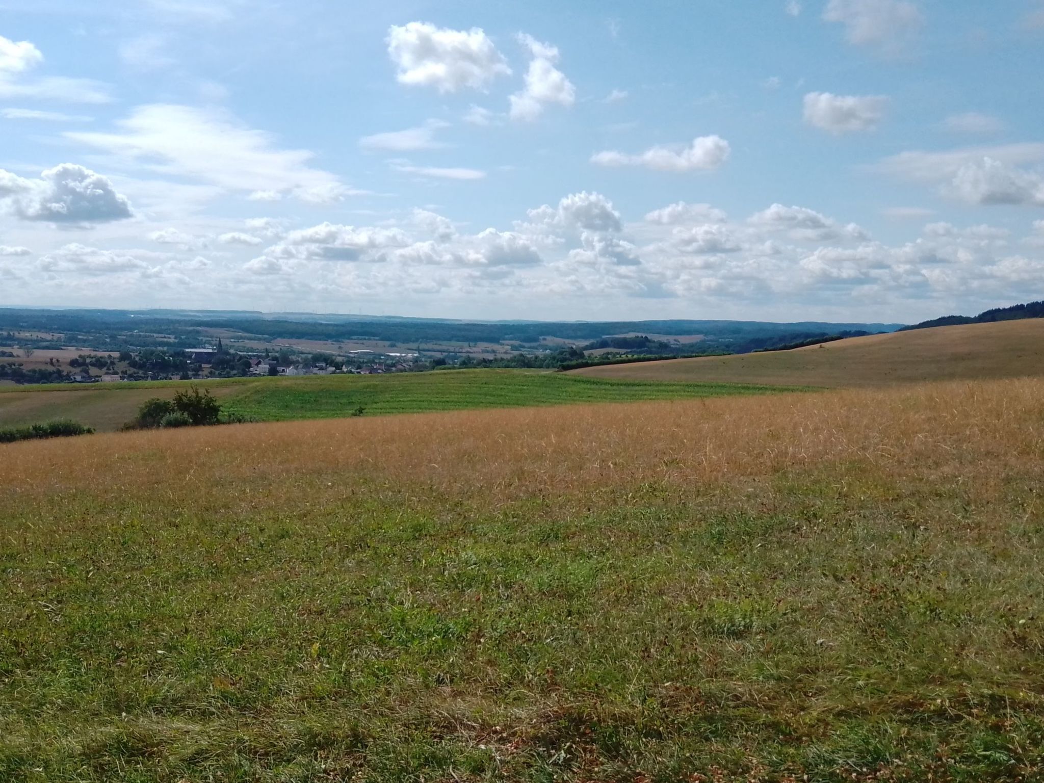 A panoramic view of a hilly landscape with fields and distant buildings.