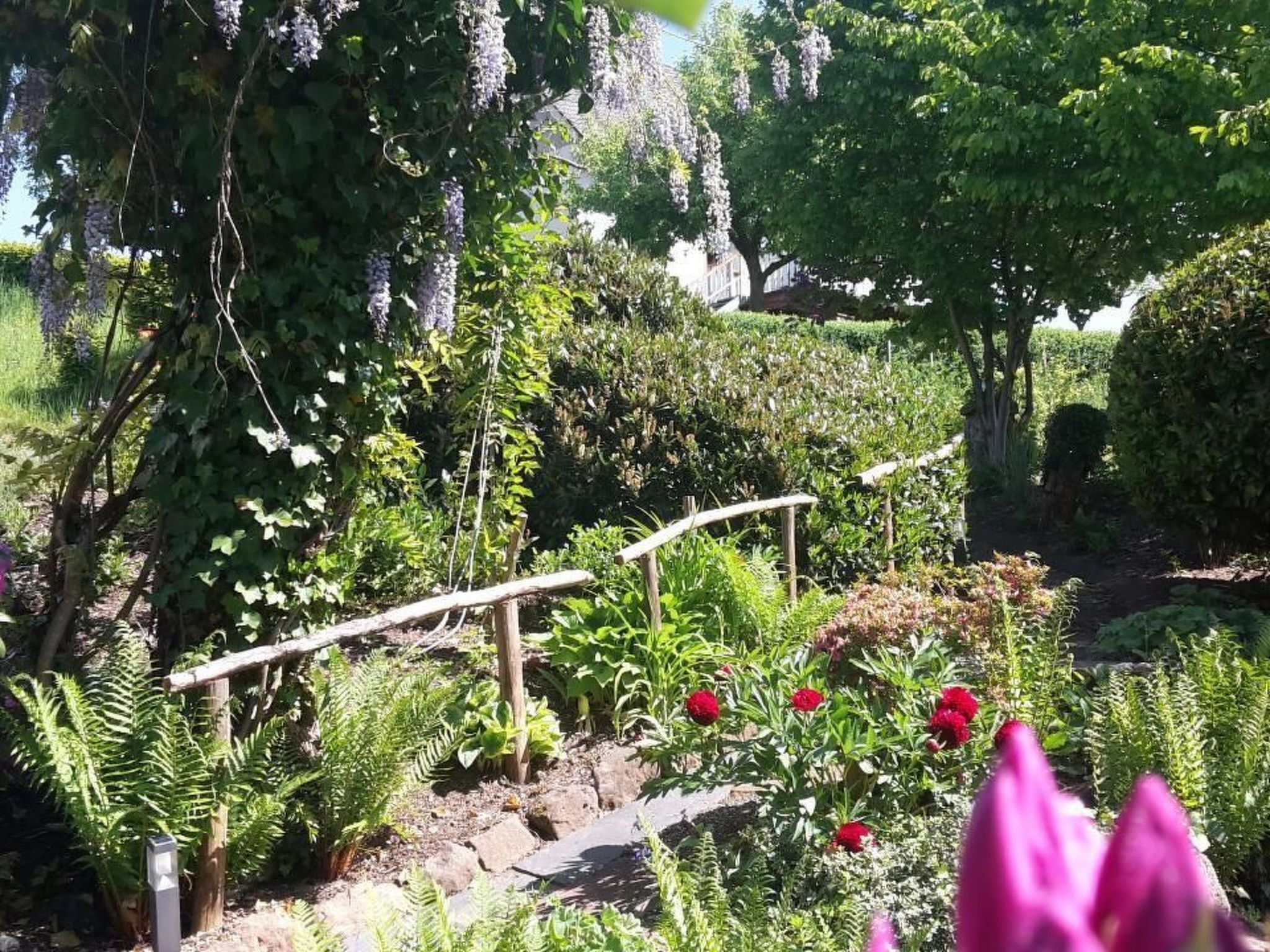 Ein Garten mit einer Holzbrücke, verschiedenen Pflanzen und einem Baum.