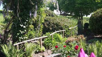 Ein Garten mit einer Holzbrücke, verschiedenen Pflanzen und einem Baum.