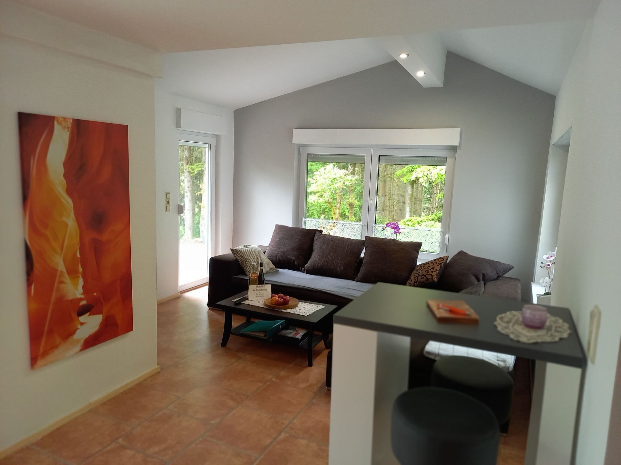 Cheminée, lecteur de DVD