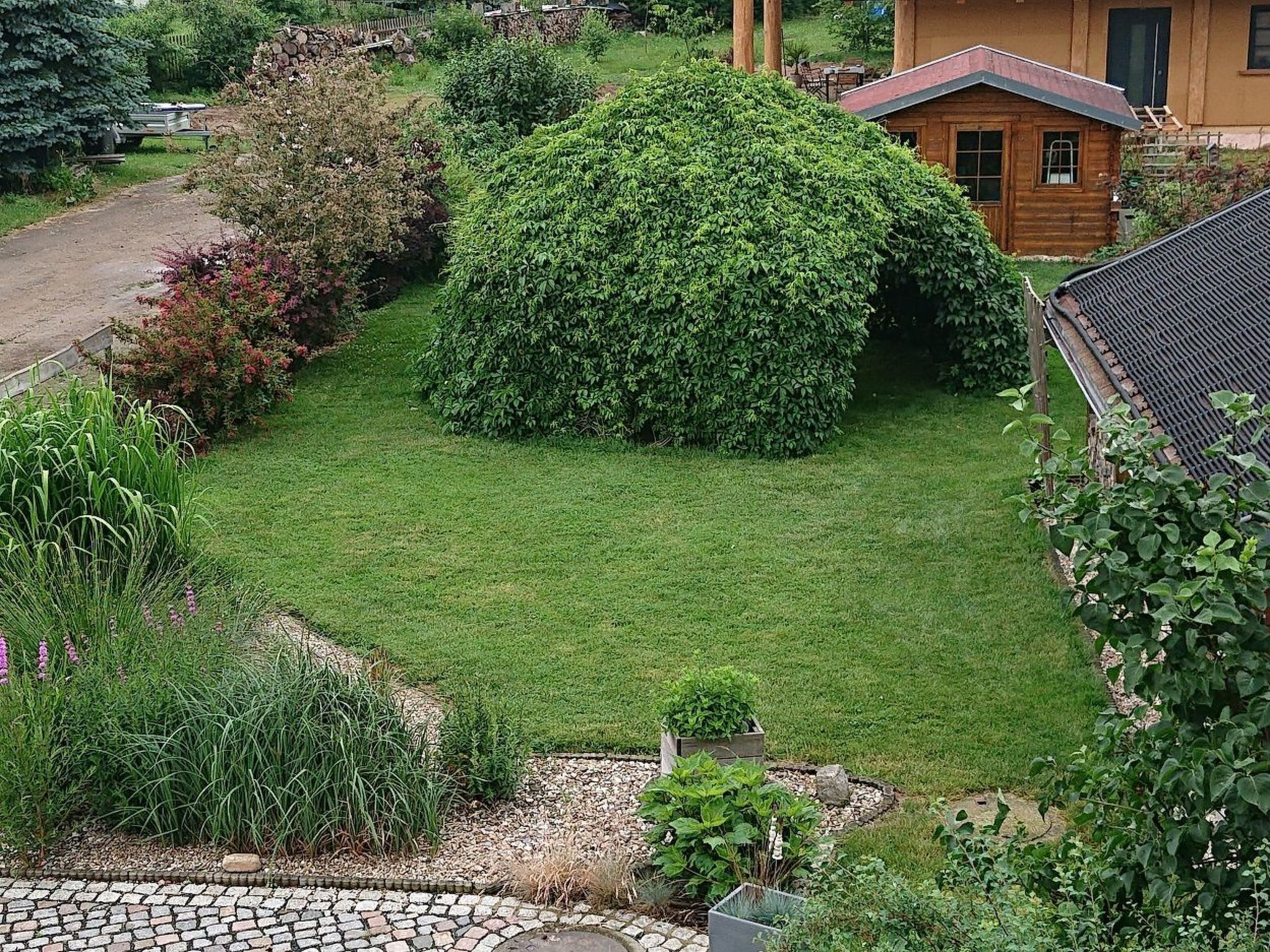 المنطقة المحيطة بالمنشأة