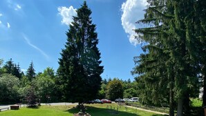 Un parque con un gran árbol de hoja perenne, un parterre circular y un sendero pavimentado.