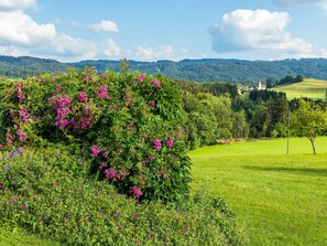 Property grounds - "Obstwiese" by Interhome (Hergensweiler)