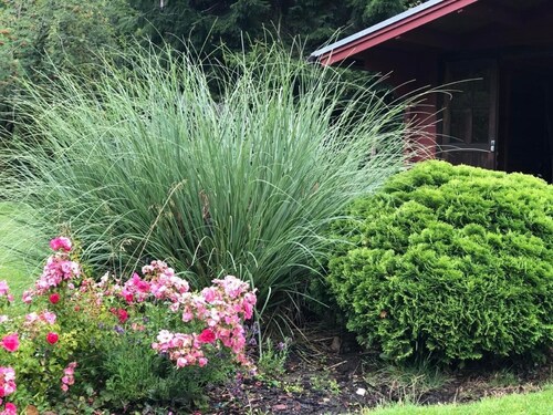 Ferienhaus Natur by Interhome