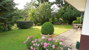 Ein gepflegter Garten mit Rasenfläche, einem großen Rosenstrauch im Kübel und einer zentral platzierten Formscherung.