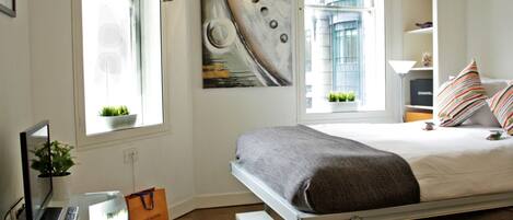 1 間睡房、上網