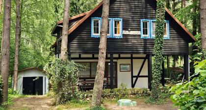 Ferienvilla "Villa Jolanta" mit Sauna by Interhome