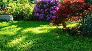 A garden with green grass, purple flowers, and red foliage.