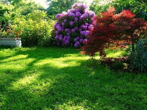 Property grounds - Sobrigau by Interhome (Kreischa)