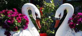 App in Brunn by Interhome