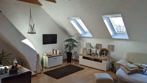 Een loft-achtige kamer met houten vloeren, een witte bank, een klein tafeltje met een plant en een aan de muur bevestigde televisie. Er zijn dakramen voor natuurlijk licht.