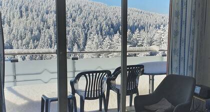 Wohnung in Oberhof by Interhome