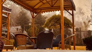 Garden - Kashmir Mahal Resorts (Srinagar)