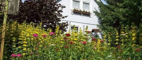 Detall de l'exterior