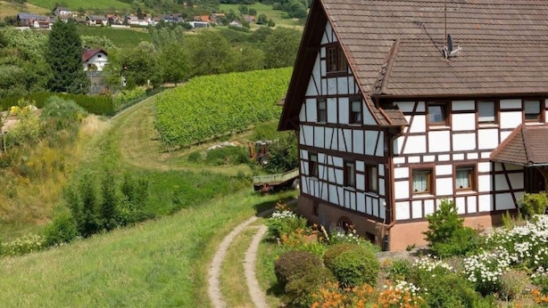 Ein traditionelles Fachwerkhäuschen mit geneigtem Dach, umgeben von einem Weinberg und einem Feldweg.
