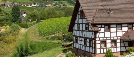 المنشأة من الخارج