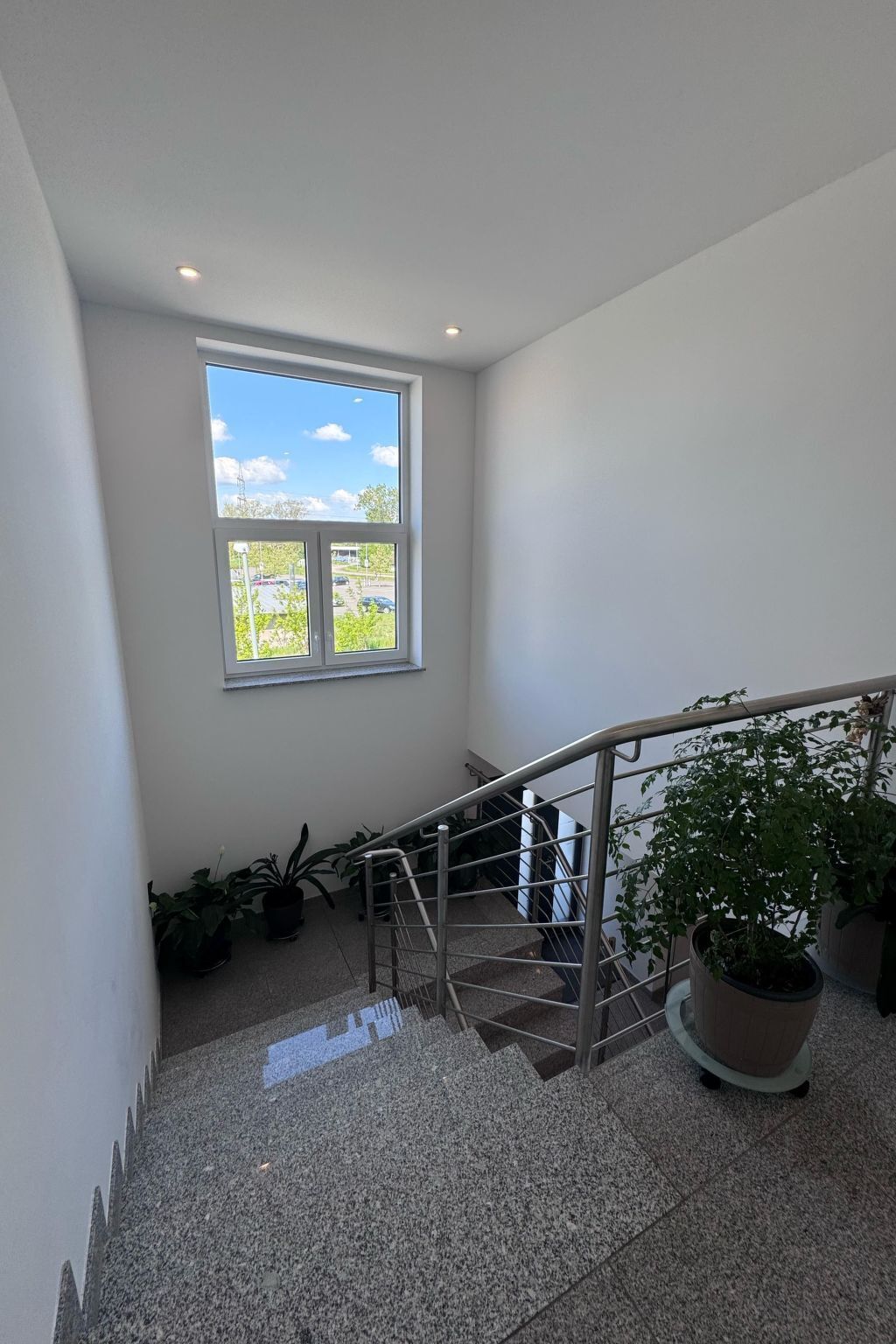 A staircase with metal railings leading to a landing. There are potted plants on the landing and along the staircase.