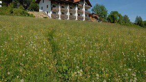 Un edifici de diverses plantes amb balcons, ubicat en un turó ple de wildflowers.