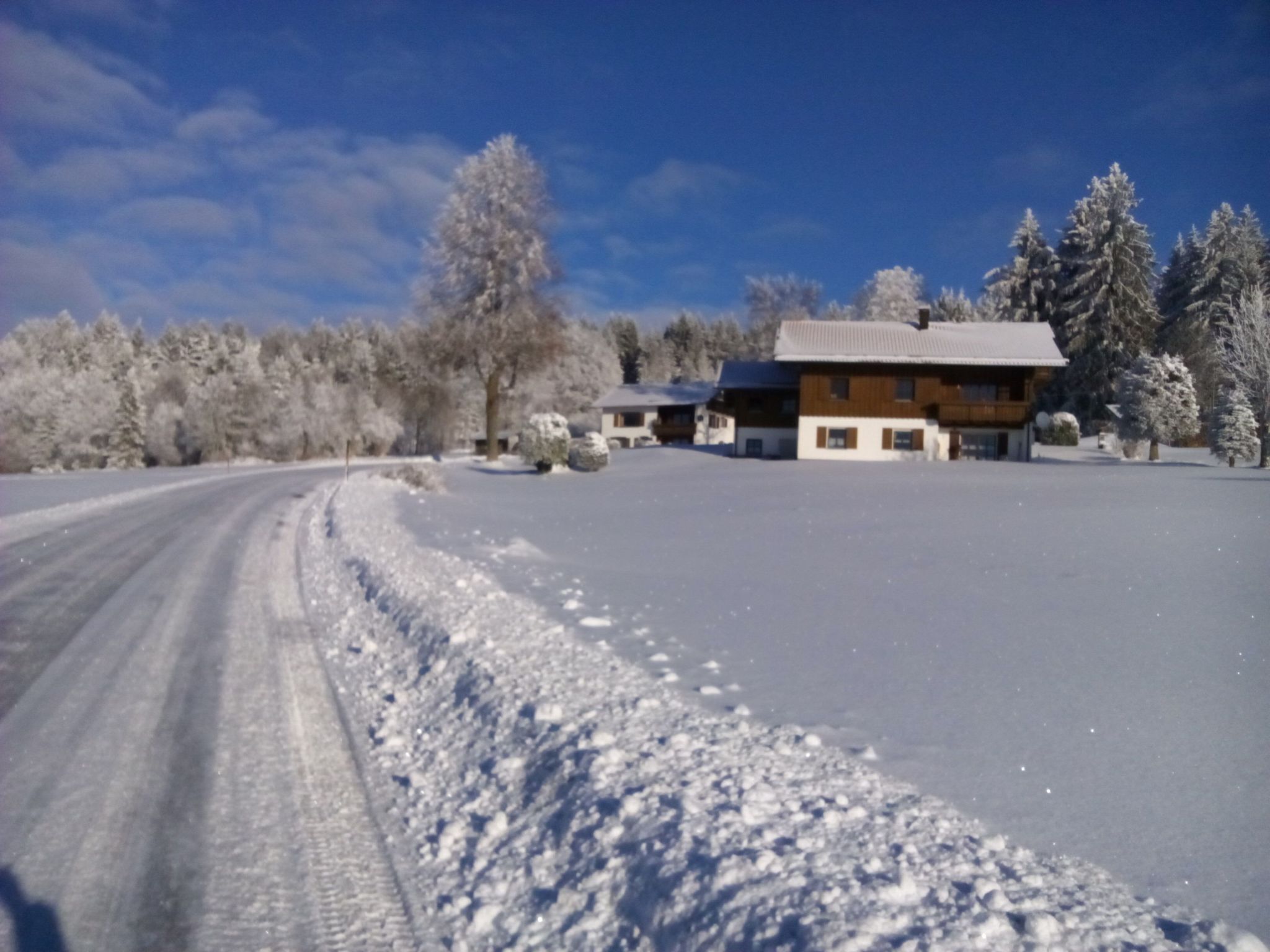A snow-covered landscape with a house and trees.
