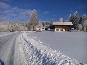 Exterior - Sonnenschein in Sankt Englmar by Interhome (Sankt Englmar)