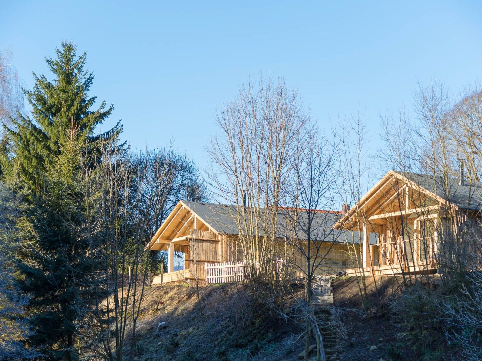 Een houten vakantiehuisje met een terras, omgeven door bomen en een heldere lucht.