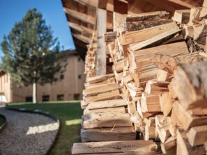 Property grounds - EXCLUSIVE FERIENWOHNUNG MIT EIGENER SAUNA by Interhome (Regen)