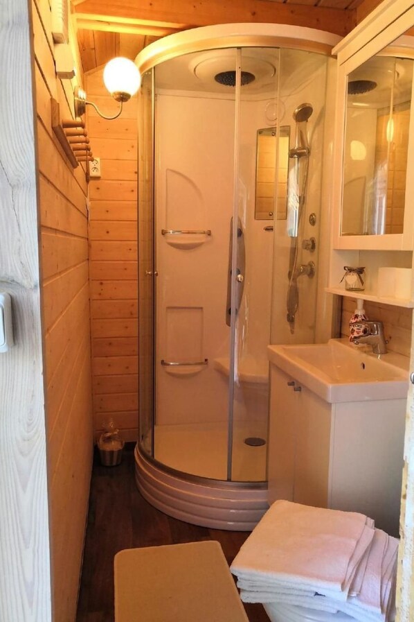 A small, enclosed bathroom with a glass shower door, a sink, and a mirror.