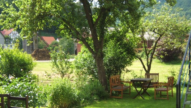 Un jardín con un banco de madera, una mesa y sillas bajo un árbol.