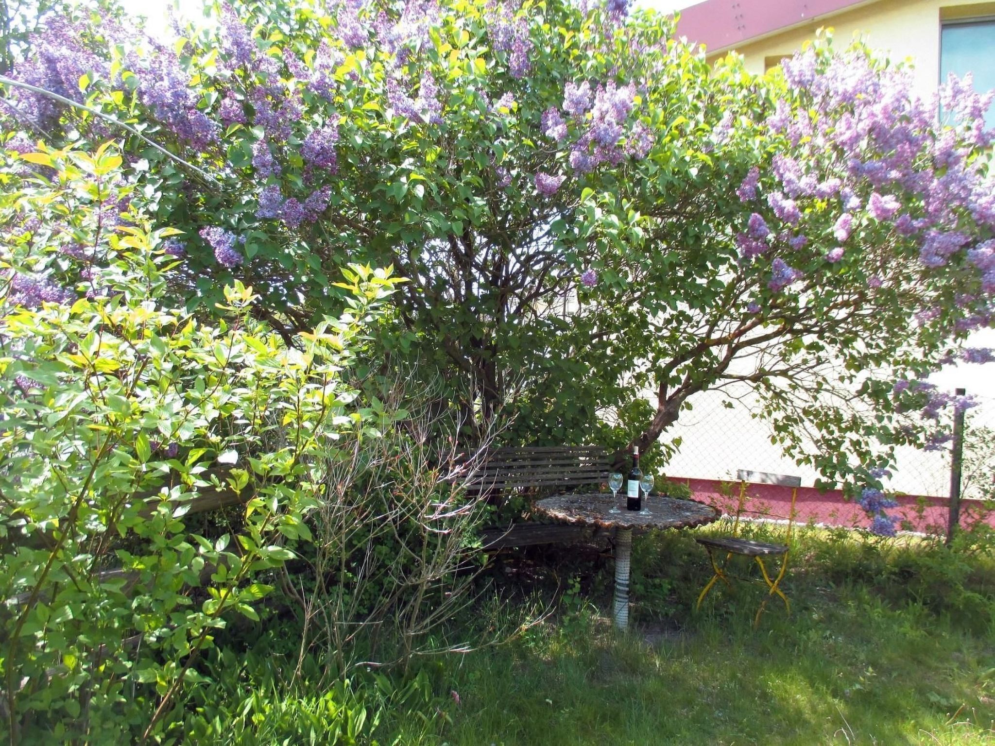 Un jardín con flores moradas y una peque ña mesa con una botella.