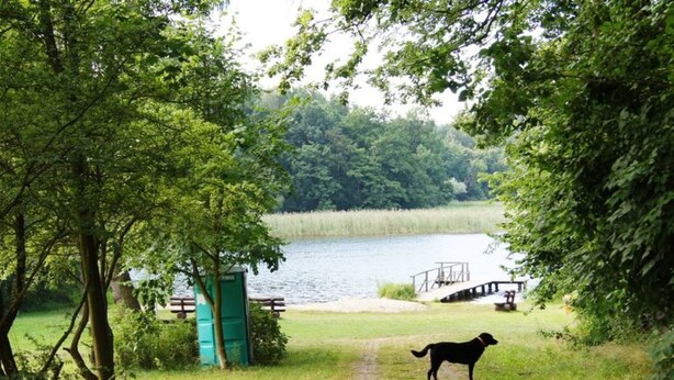 A dog walking on a dirt path towards a lake with a wooden bridge and picnic tables. - Abendsonne by Interhome (Mirow)