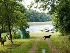 A dog walking on a dirt path towards a lake with a wooden bridge and picnic tables.