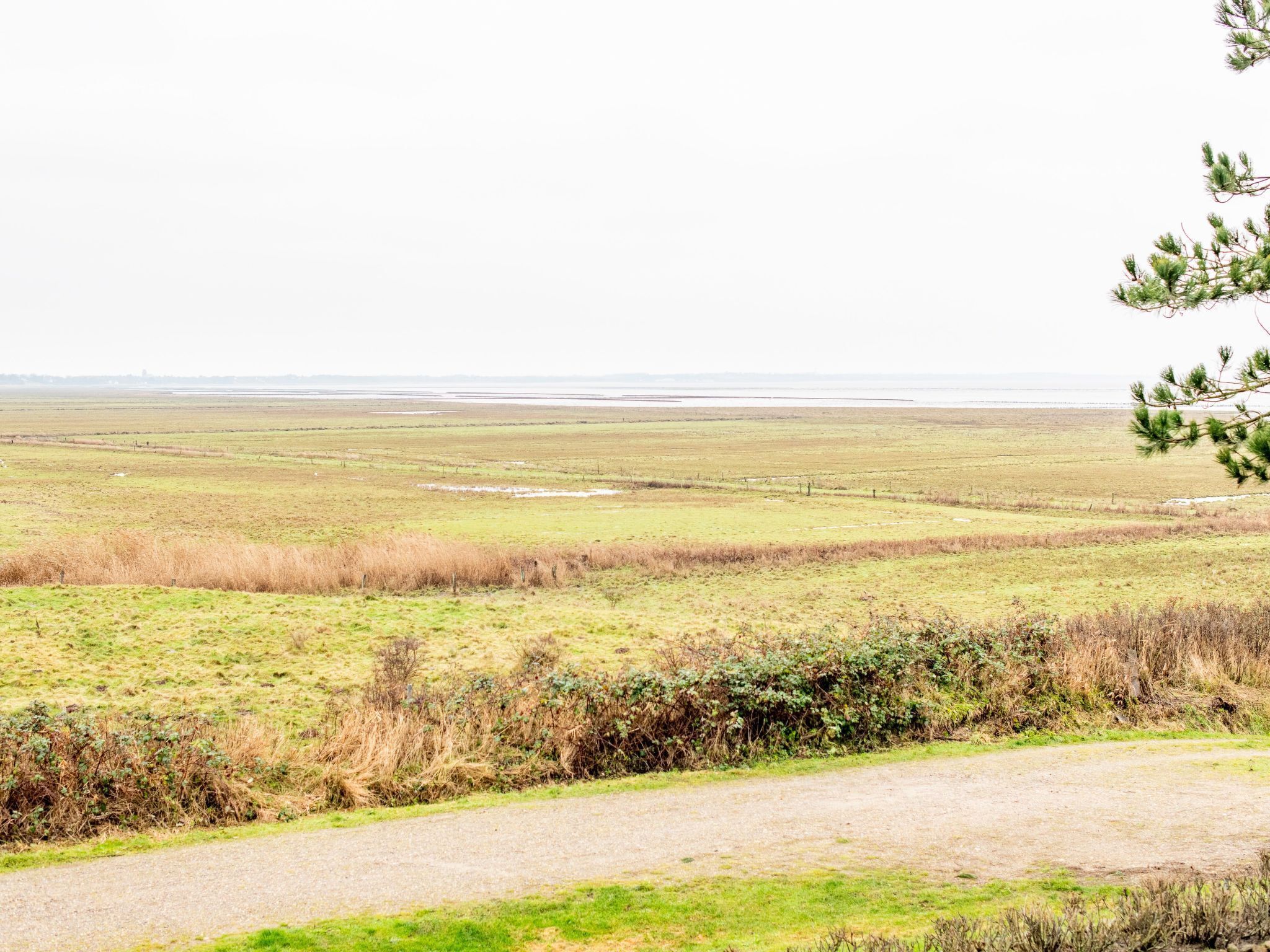 A rural landscape with a gravel path leading through fields and a distant horizon.