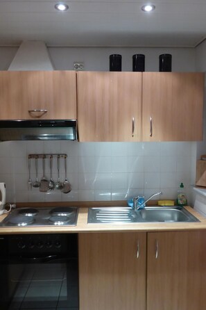 Fridge, microwave, oven, cookware/dishes/utensils