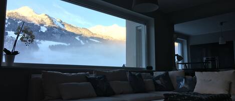 Téléviseur, foyer, lecteur de DVD