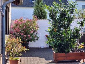 A garden with potted plants and a white wall. - Vacation home Thome by Interhome (Lissendorf)