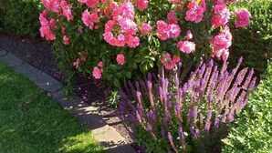 A garden with pink roses and purple flowers, a paved walkway, and a brick building in the background. - Strandnah Ilse Hans by Interhome (Friederikensiel)