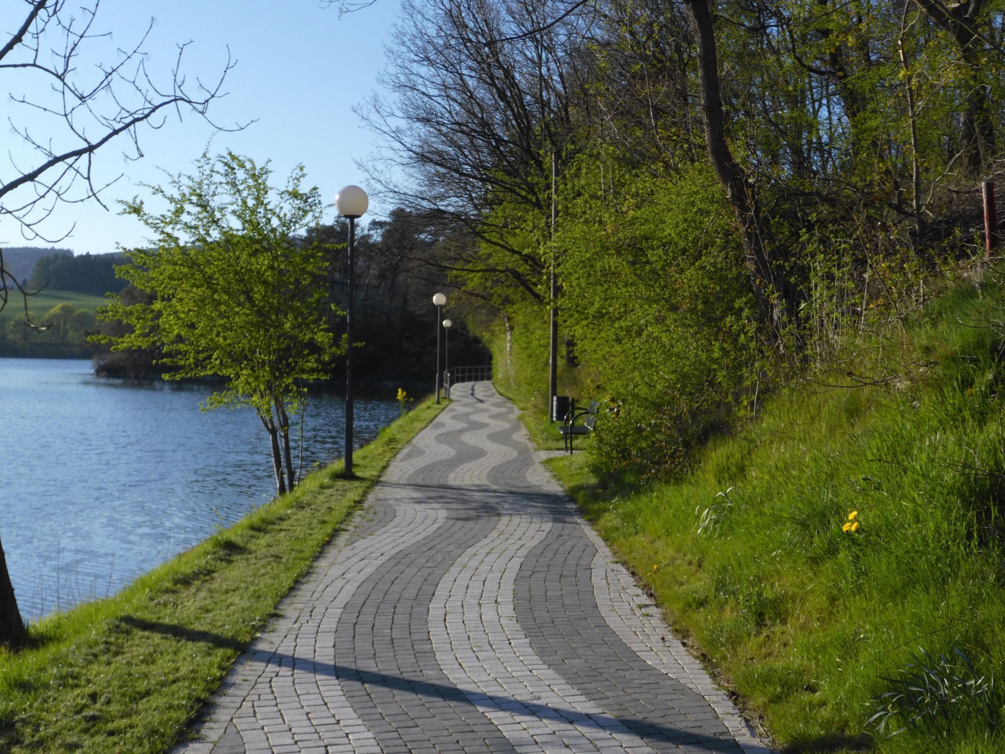 A paved pathway alongside a body of water, flanked by trees and lamp posts.