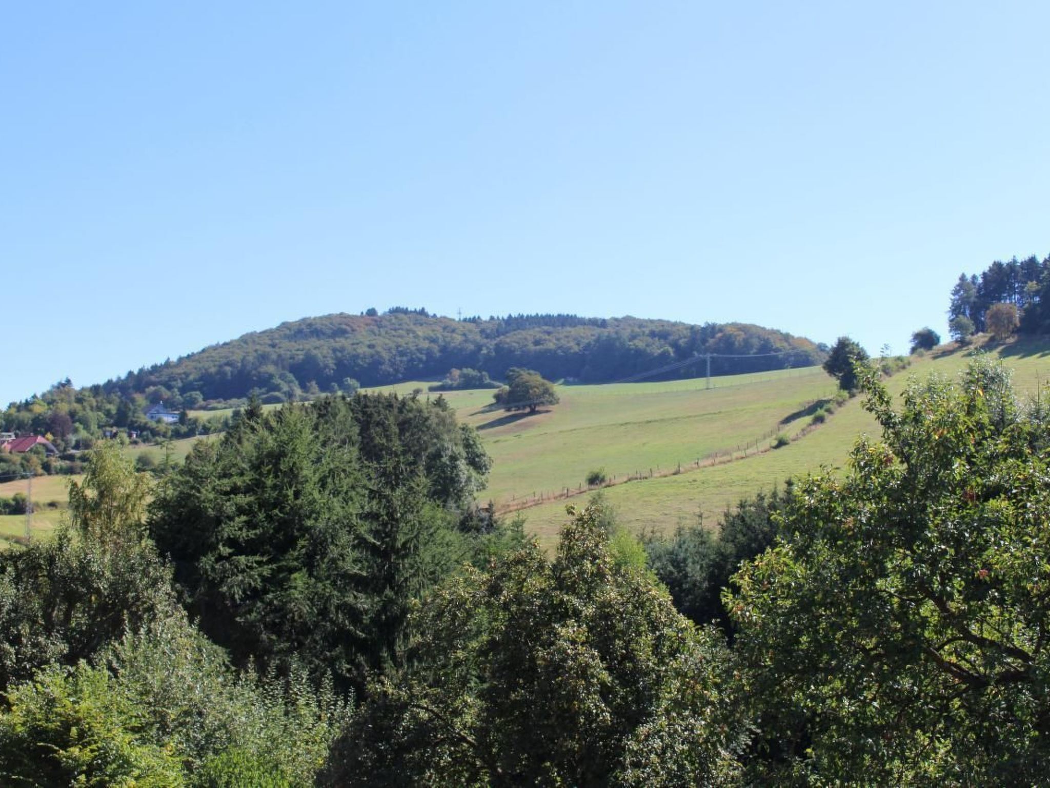 A rural landscape with rolling hills, dense trees, and a clear blue sky.