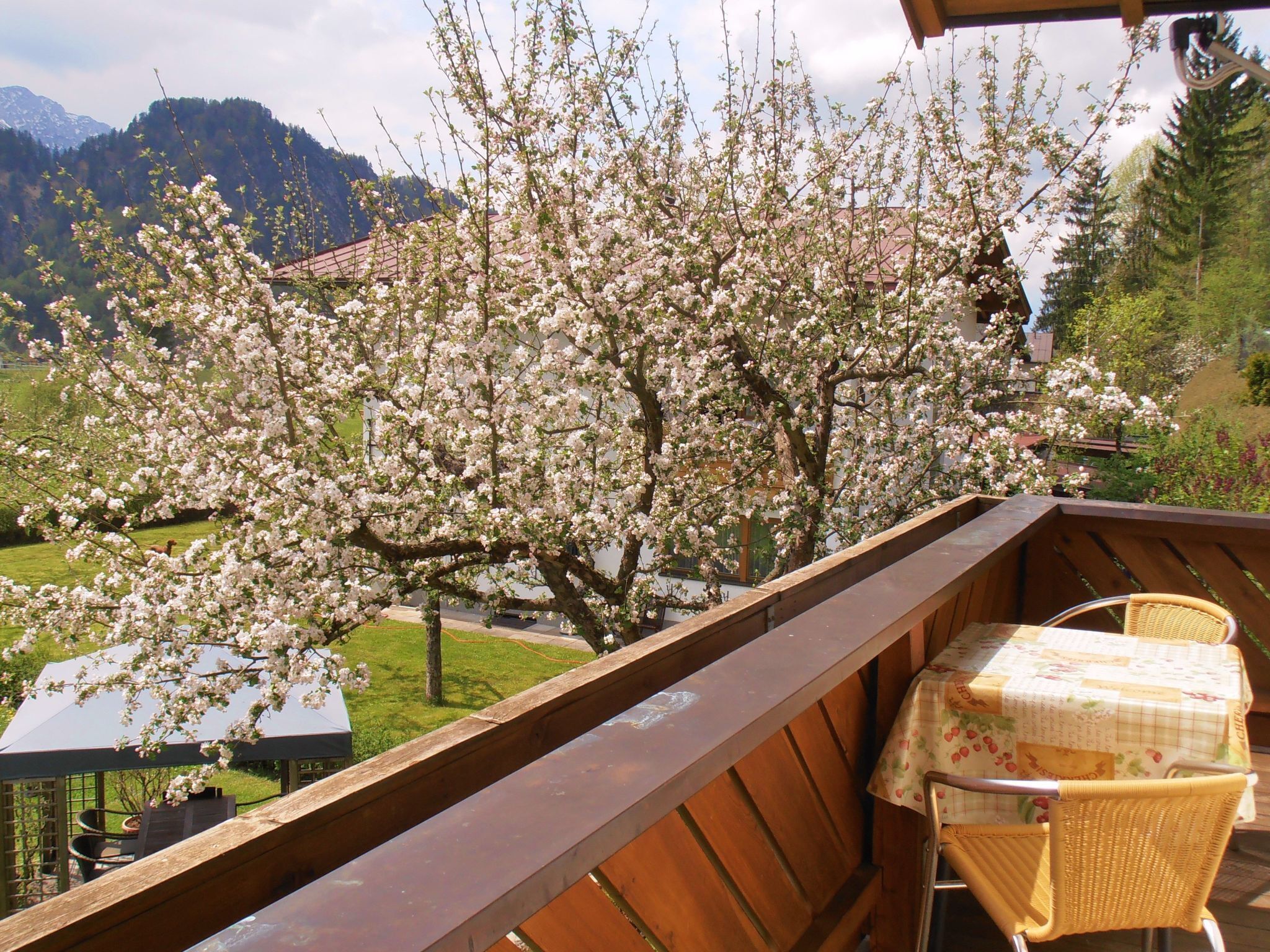 تناول الطعام بالخارج