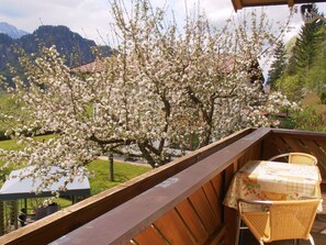 Outdoor dining - "Morgenrot" by Interhome (Walchsee)