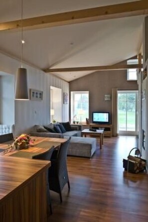 Fernseher, Kamin, DVD-Player