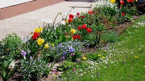 A garden with a variety of flowers including tulips and daisies. - Apartment Bergblick by Interhome (Abtenau)