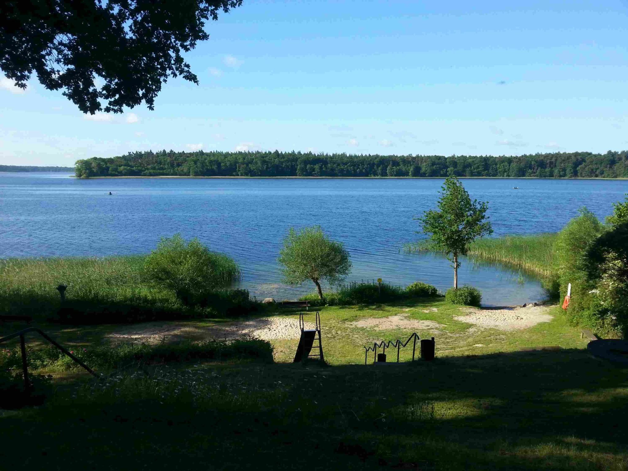 Vista a un lago con un espacio verde, un banco de madera y un árbol pequeño.
