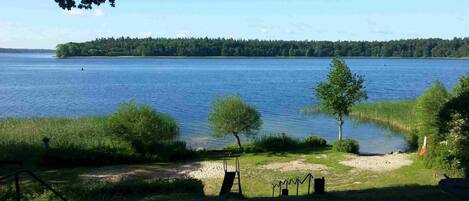 Vista a un lago con un espacio verde, un banco de madera y un árbol pequeño.