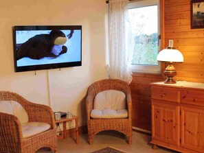 Chimenea y reproductor de DVD 