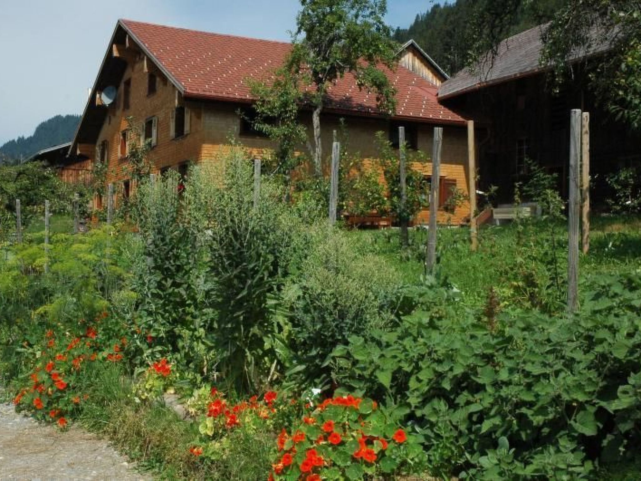 A rustic wooden house with a sloped roof, surrounded by lush greenery and a garden with red flowers.